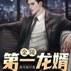 上门佳婿(多人剧)